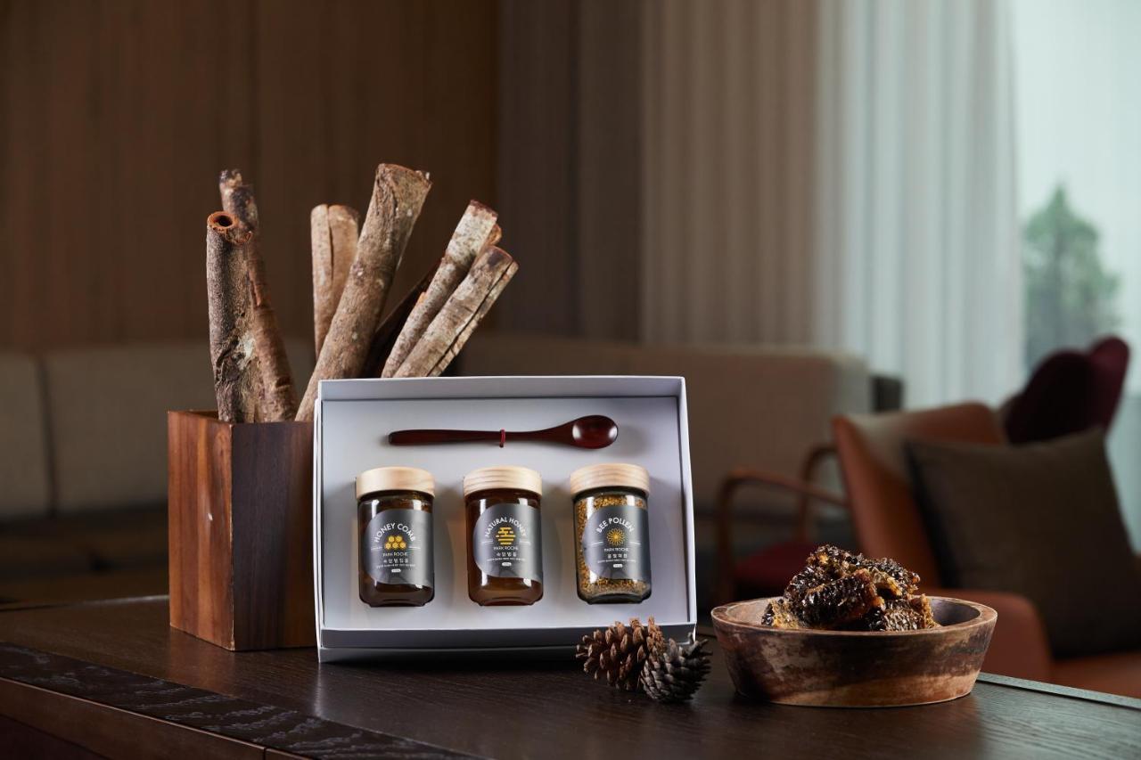Park Roche Resort & Wellness 旌善 外观 照片