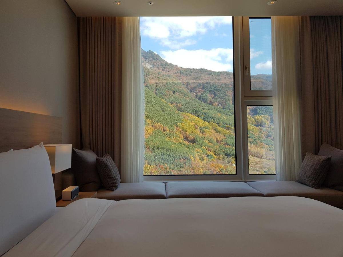 Park Roche Resort & Wellness 旌善 外观 照片