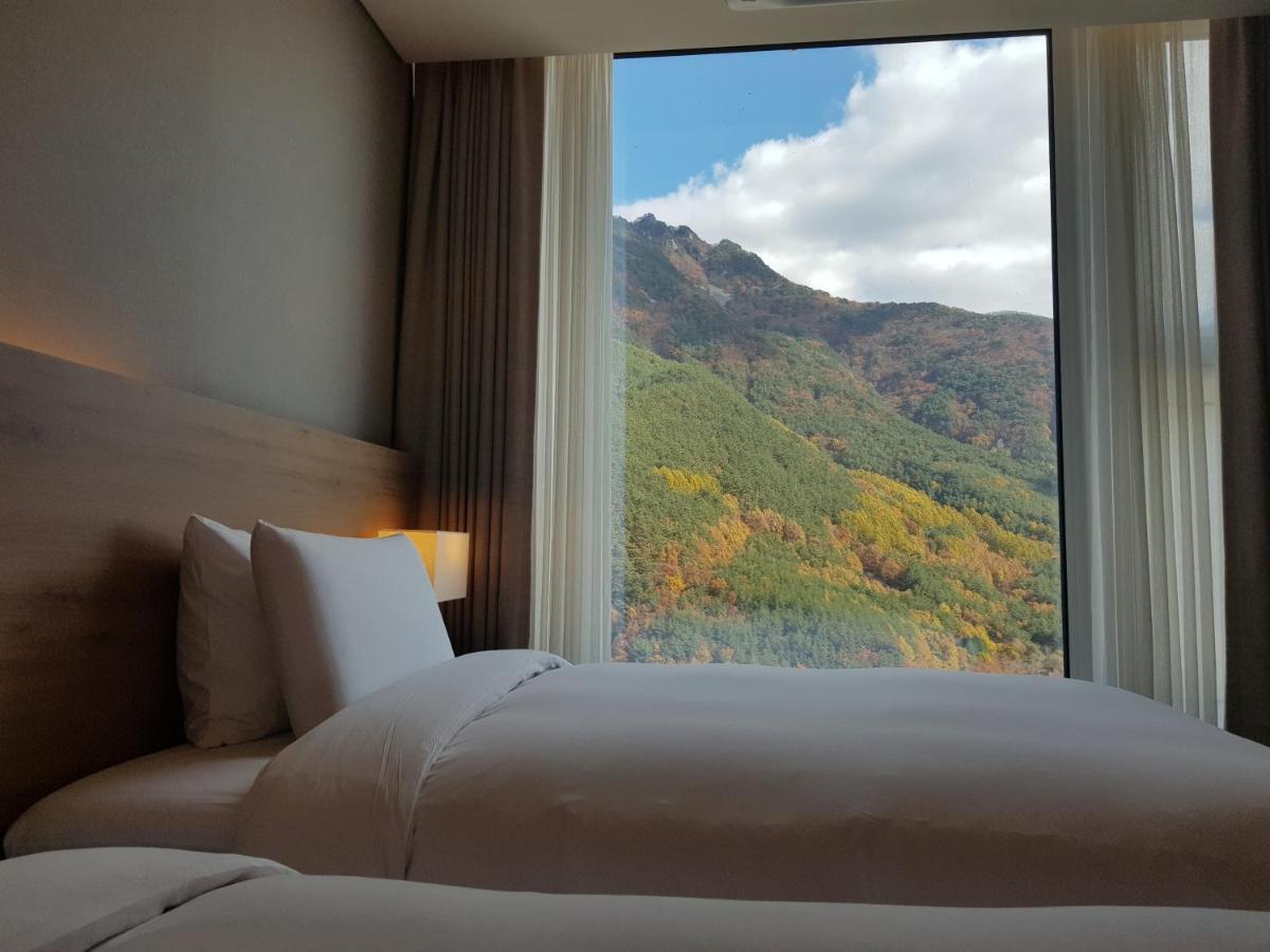 Park Roche Resort & Wellness 旌善 外观 照片